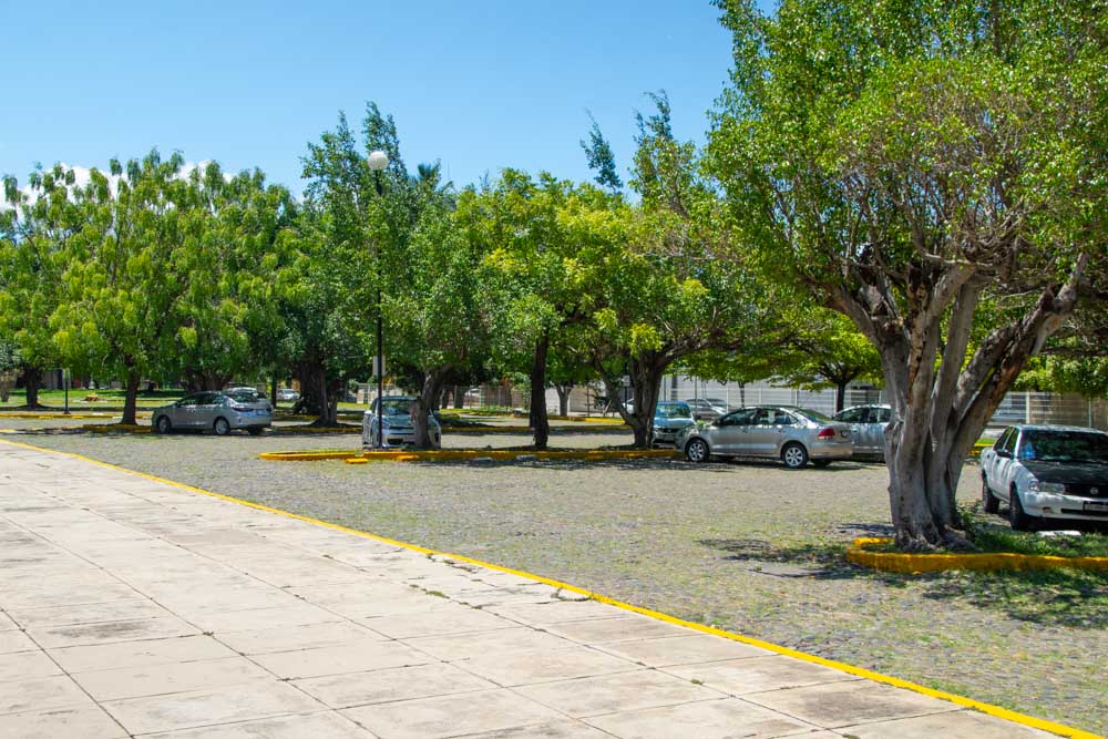 DSC_5684-ANAHUAC
